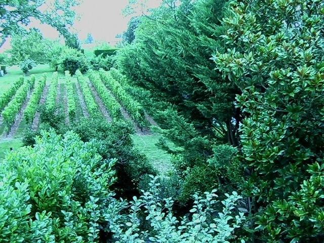 Bed and Breakfast Les Id De Saint Emilion Екстер'єр фото
